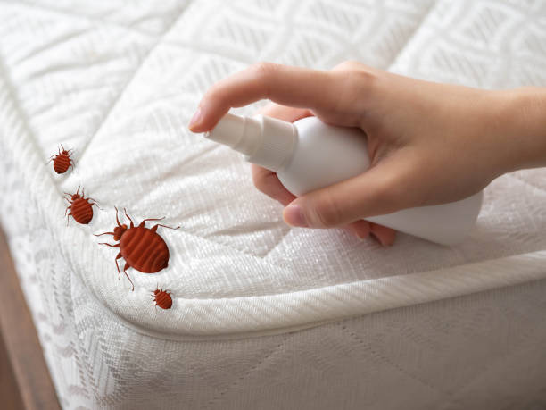 Best Pest Control for Multi-Family Homes  in Sheridan, IL